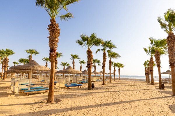 Club Jumbo Amwaj beach club abu soma 4* - 1