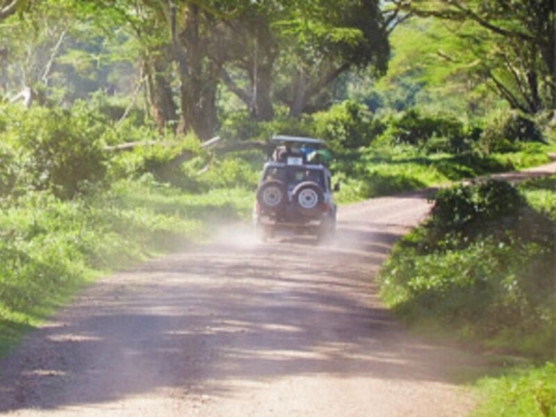 Circuit Sur les pistes de Tanzanie avec le Serengeti - 1
