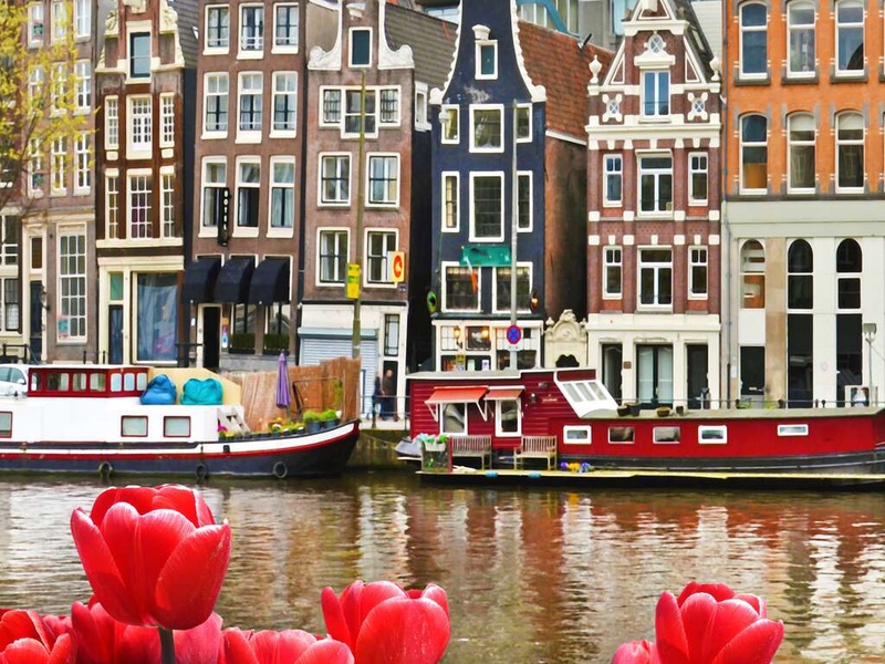 Art, convivialité et une profusion de fleurs lors d'un city-trip à Amsterdam (entrée au Keukenhof) - 4* - 1