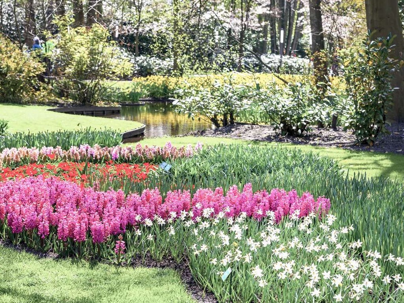 Découvrez Scheveningen et le Keukenhof en un week-end - 3* - 1