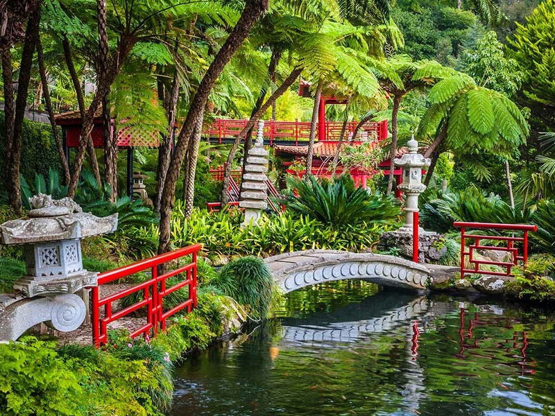 Circuit Echappée Jardins de Madère depuis le Dom Pedro Garajau 3* - 1