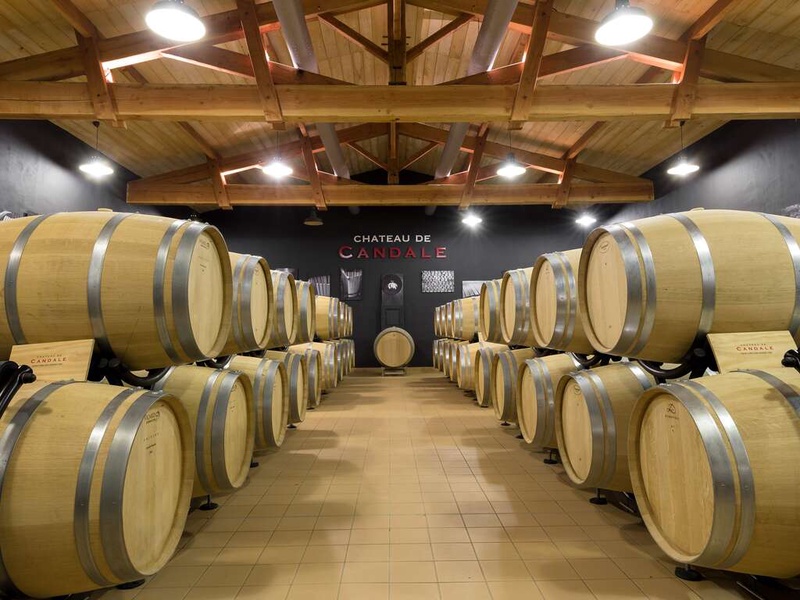 Escapade Bordelaise et dégustation dans un domaine à Saint-Émilion - 4* - 1
