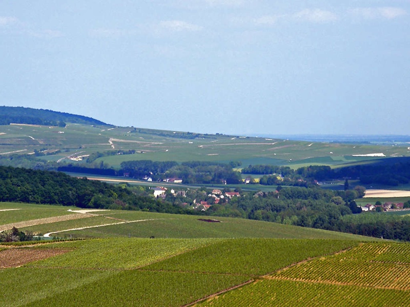 Séjour à Epernay - 1