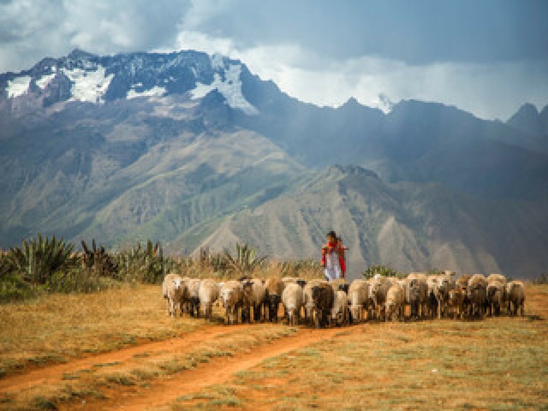Sous le ciel des Andes - 1