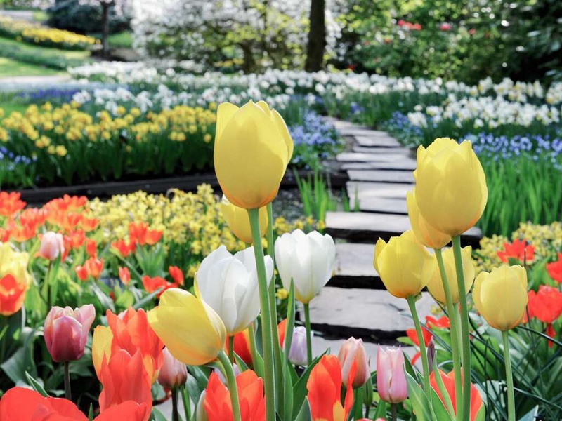 Splendeur florale & confort : séjour à l'Hôtel Nordseka avec visite du Keukenhof - 4* - 1