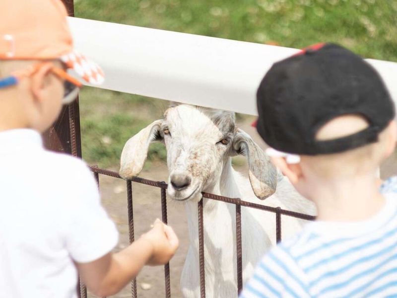 Aventurez-vous au ZooSafari de Thoiry le temps d'un week-end - 4* - 1