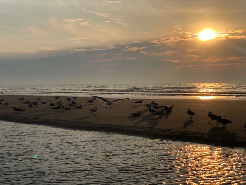 Séjour entre les dunes de Middelkerke et accès au wellness Vita - 4* - 1