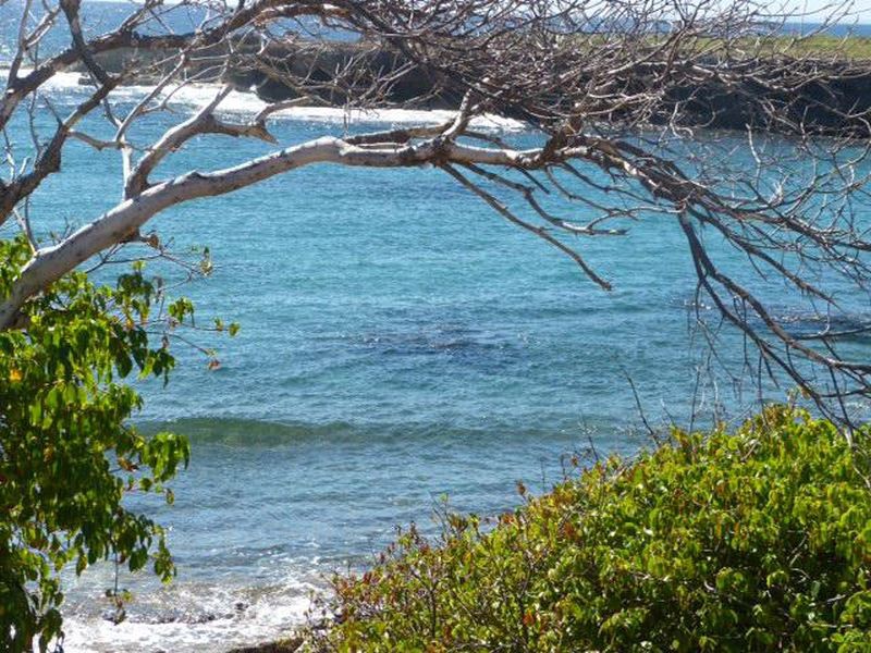 Séjour Guadeloupe, Antilles La Berceuse Créole avec location de