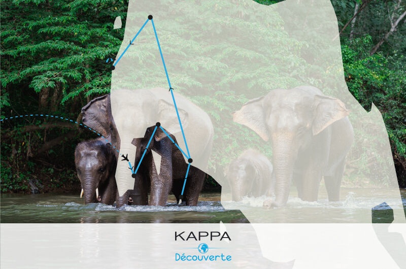 Circuit Kappa Découverte - Les Perles du Sud & Kappa Club Thai Beach Resort 5* - 1
