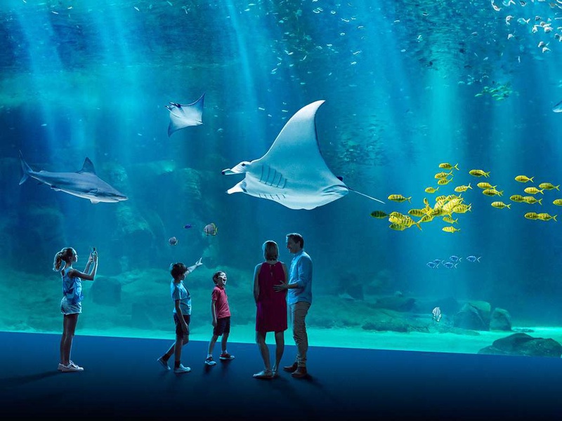 Séjour familial avec entrée à l'Aquarium Nausicaa - 3* - 1