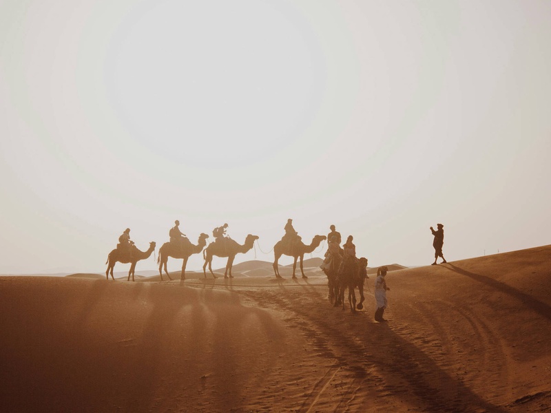 Circuit Au fil des oasis et des dunes : voyage au Maroc ancestral - 1