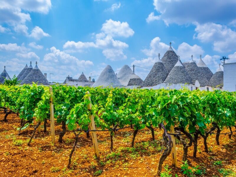 Autotour Pouilles séjour de charme en masseria 7 Nuits - De Bari A Bari - 1