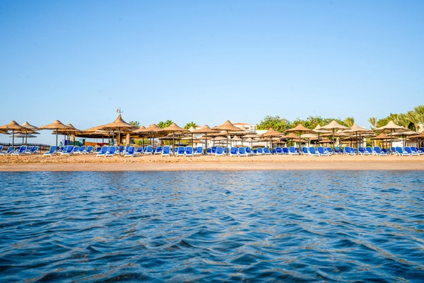 Hôtel Ivy Cyrene Sharm Resort (+ de 13 ans) 4* - 1