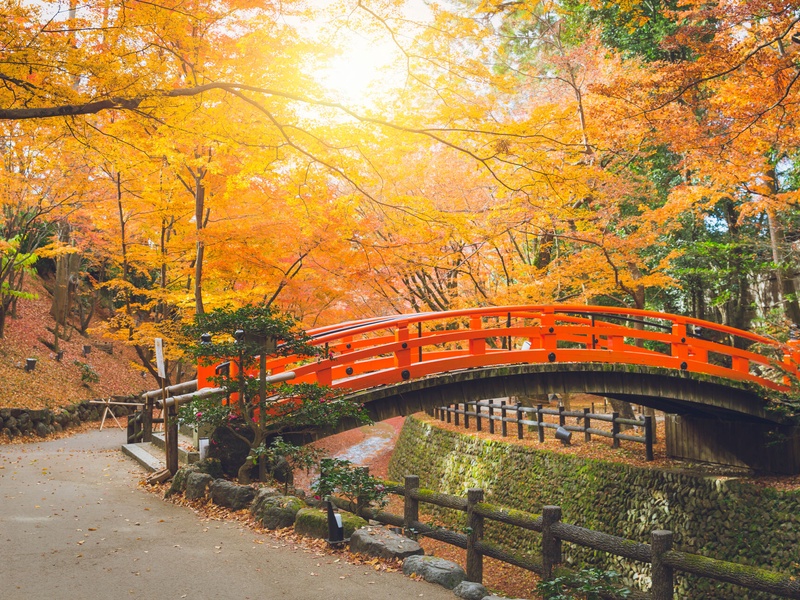 Splendeurs du Japon : Circuit individuel en 3* ou 4*-Entrée pour l’exposition universelle Osaka – Kansai 2025 - 1