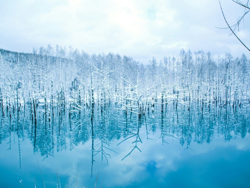 A la découverte d'Hokkaido - 1