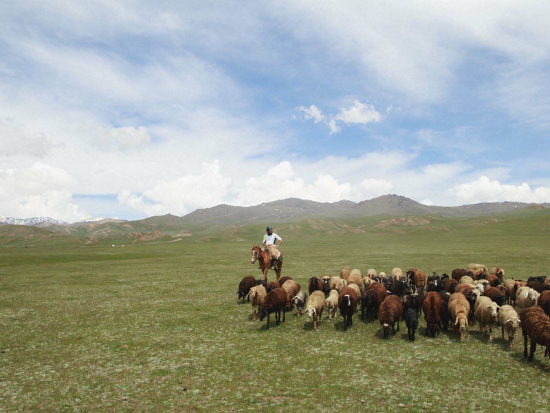 Circuit Grande transhumance automne - 1