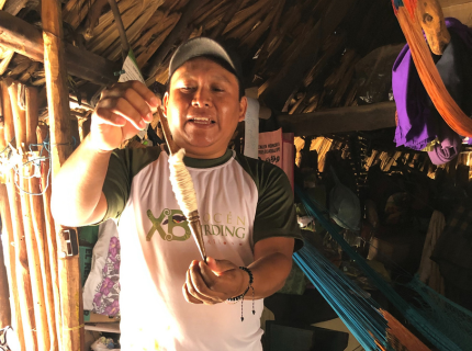 Les Murmures du Yucatán - 1