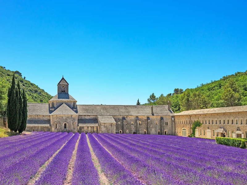 Découverte du Musée de la Lavande à Cavaillon - 3* - 1
