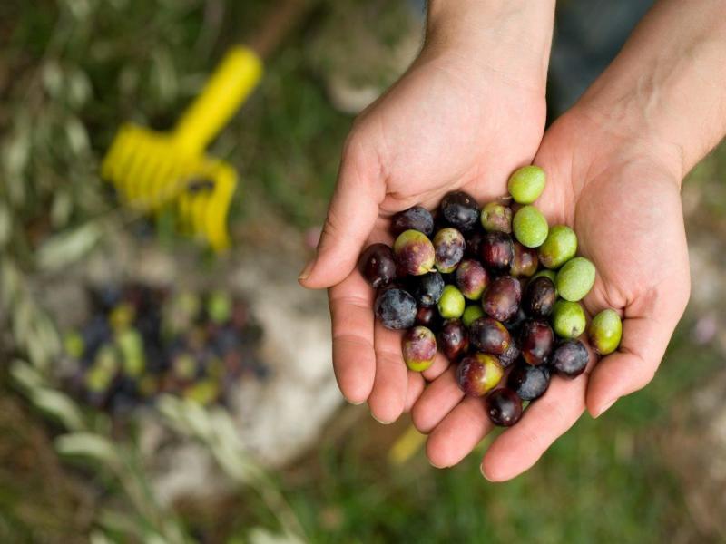 Autotour explorez l'Istrie et la Dalmatie en 8 jours - 1