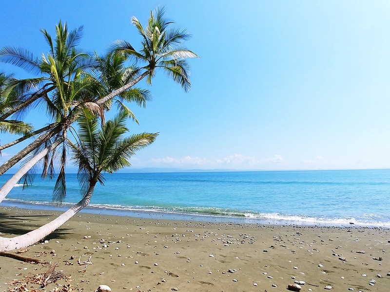 Circuit entre Jungles et Forêts du Costa Rica en 8 nuits avec extension Playa Samara - 1