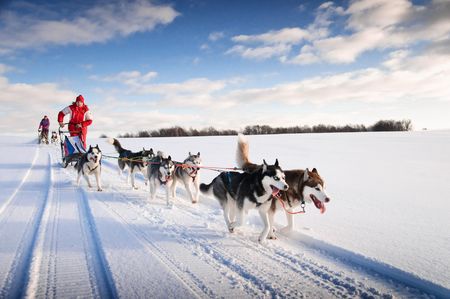 Splendeurs de l'Hiver Canadien 9J/7N - 2024/2025 - 1