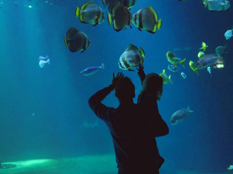 Séjour familial avec entrée à l'Aquarium Nausicaa - 3* - 1