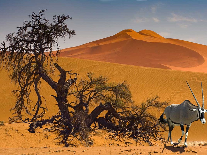 Circuit Pays himba, dunes et réserves de Namibie - 1