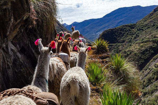 Circuit Douceurs au Pays des Incas - 1
