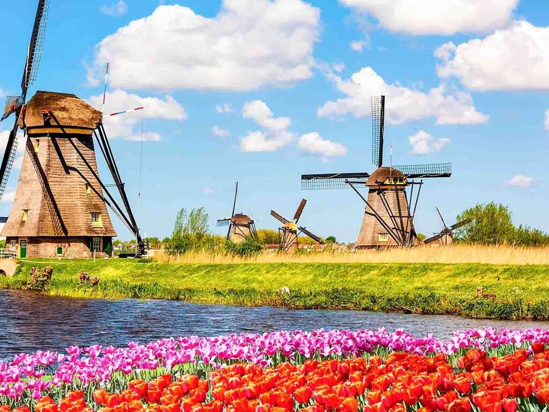 Nuit confortable dans le dynamique Rotterdam avec entrée au Keukenhof - 4* - 1