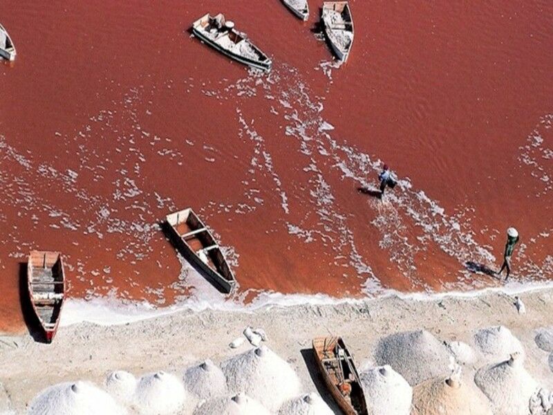Découverte du Sénégal - De Dakar à Dakar - 1