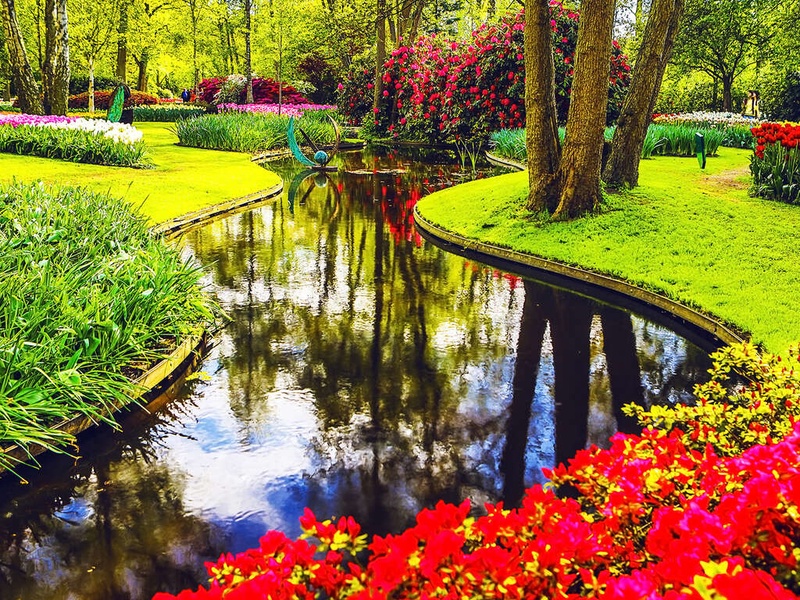 Confort et convivialité à Haarlem avec visite du Keukenhof - 3* - 1