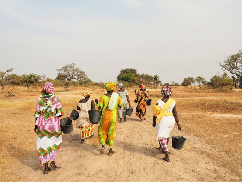 Circuit Chez les femmes du delta du Saloum - 1
