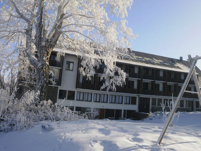 Ontspannend verblijf met spa in het hartje van het Centraal Massie in Sancy - 3* - 1