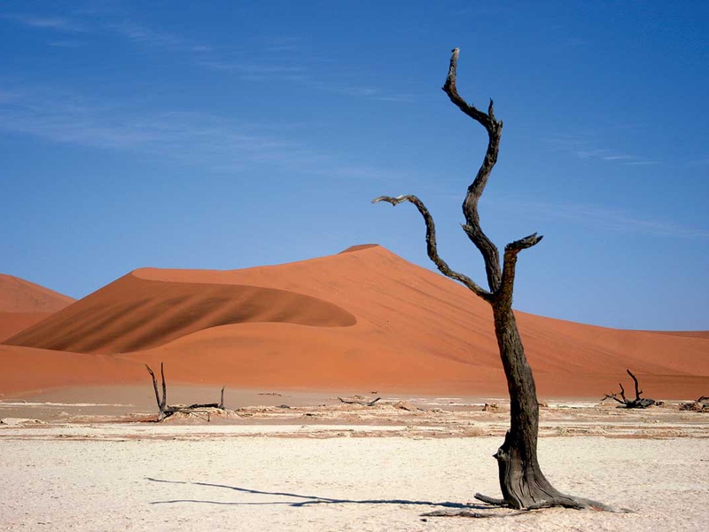 Road Trip Dunes et désert namibiens - 1