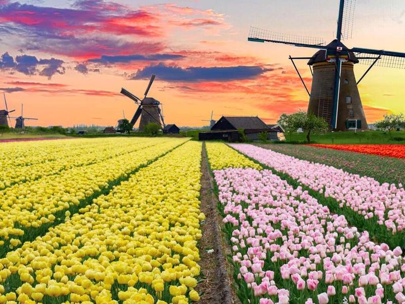 Visitez le Keukenhof coloré et profitez d'un séjour confortable à Amsterdam - 4* - 1
