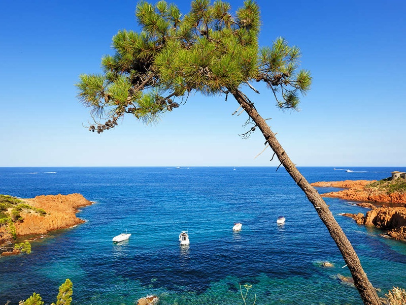 Entre terre, mer et luxe dans un studio au coeur de Cannes - 4* - 1