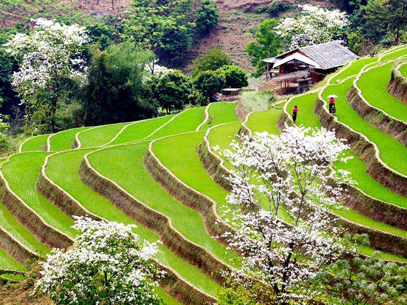 VIETNAM | 22j/19n - Circuit 