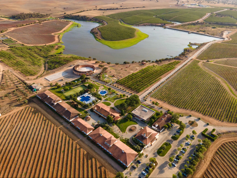 Hôtel Vila Galé Alentejo Vineyards 4* - 1