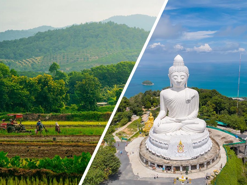 Circuit Essence de Thaïlande et plage : Ôclub Experience Novotel Kamala 4* - 1