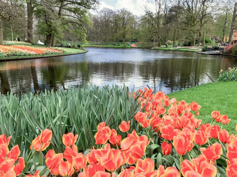 Nuitée, balade à vélo et dîner à Amsterdam avec accès au Keukenhof - 4* - 1