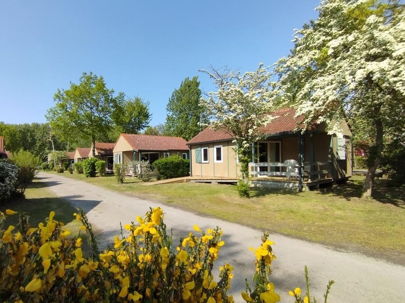 CARAVANING L'OREE DU BOIS, 4* - 1
