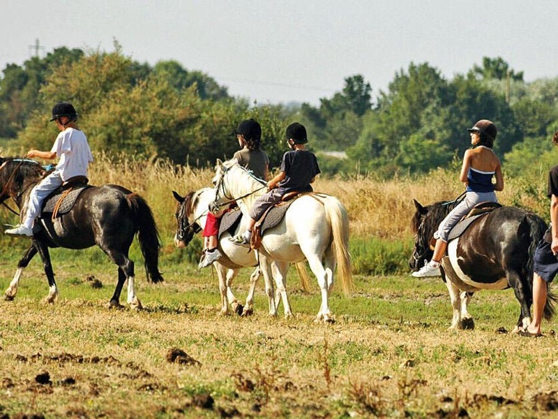 Camping Les Embruns d'Oléron, 4* - 1