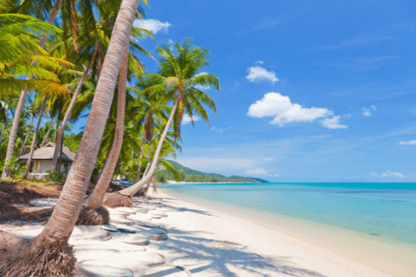 Circuit Merveilles du Siam à Koh Samui, au Paradise Beach Resort 4* - 1