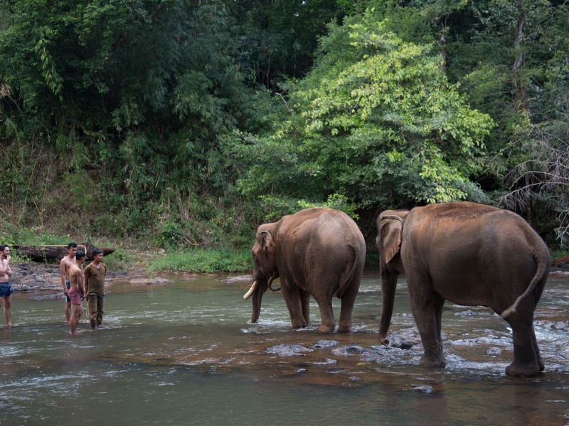 Circuit Cambodge secret, des îles du Mékong aux jungles du Mondulkiri - 1