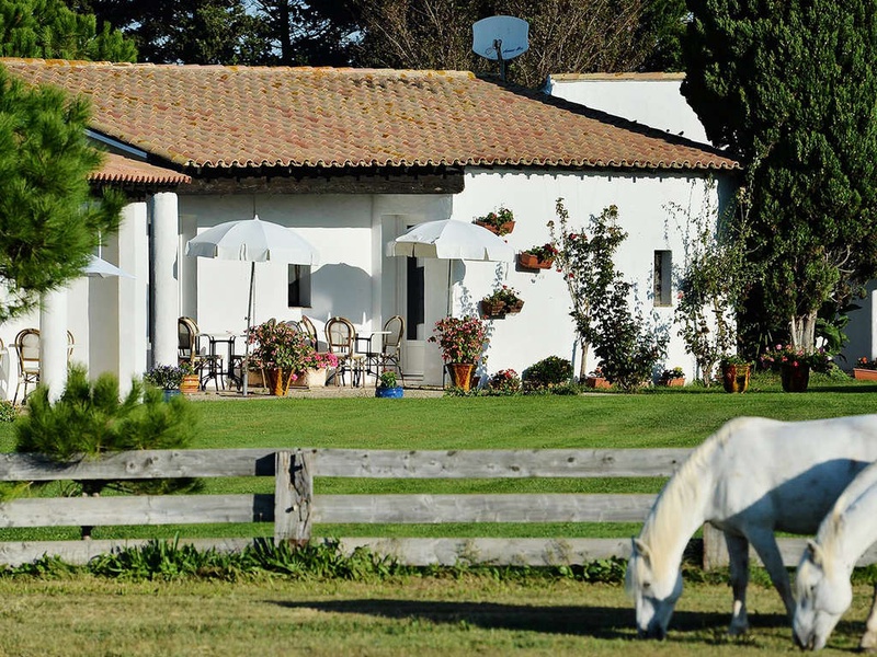 Séjour nature et détente avec bains à remous privé et balade à cheval en Camargue (2 nuits) - 3* - 1