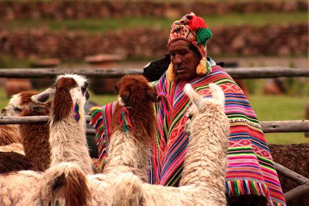 Douceurs au Pays des Incas & Extension Amazonie - 1