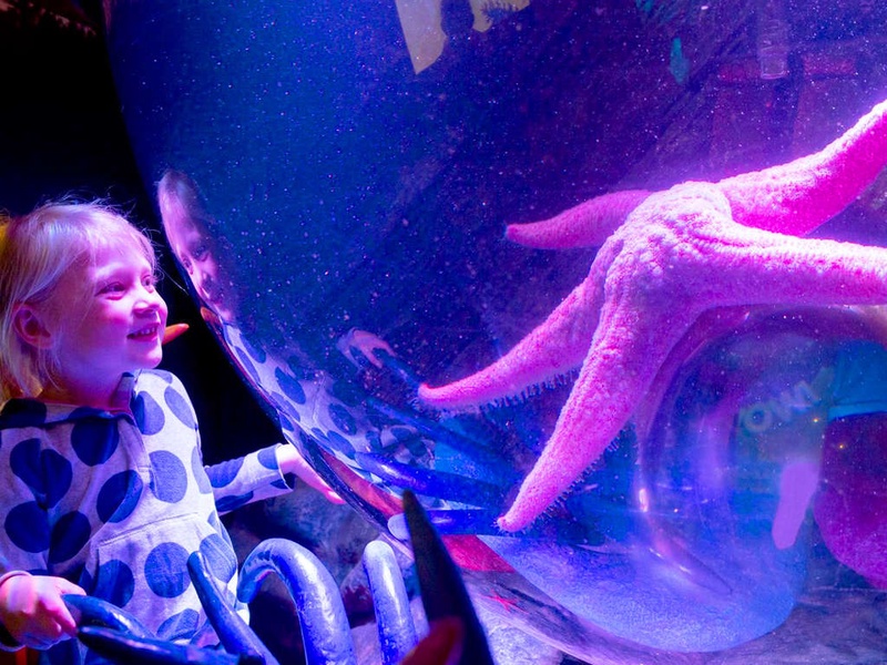 Découvrez l'Aquarium Sea Life près de Paris - 4* - 1
