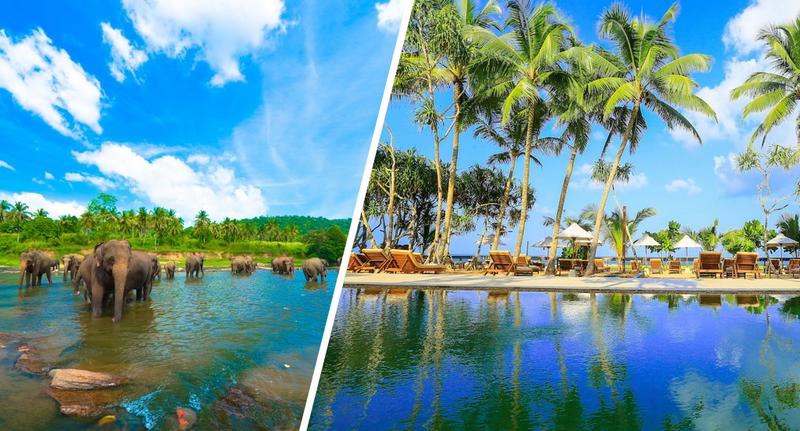 Circuit Balade Sri Lankaise privative et Oclub Experience Pandanus beach resort Spa 5* - 1