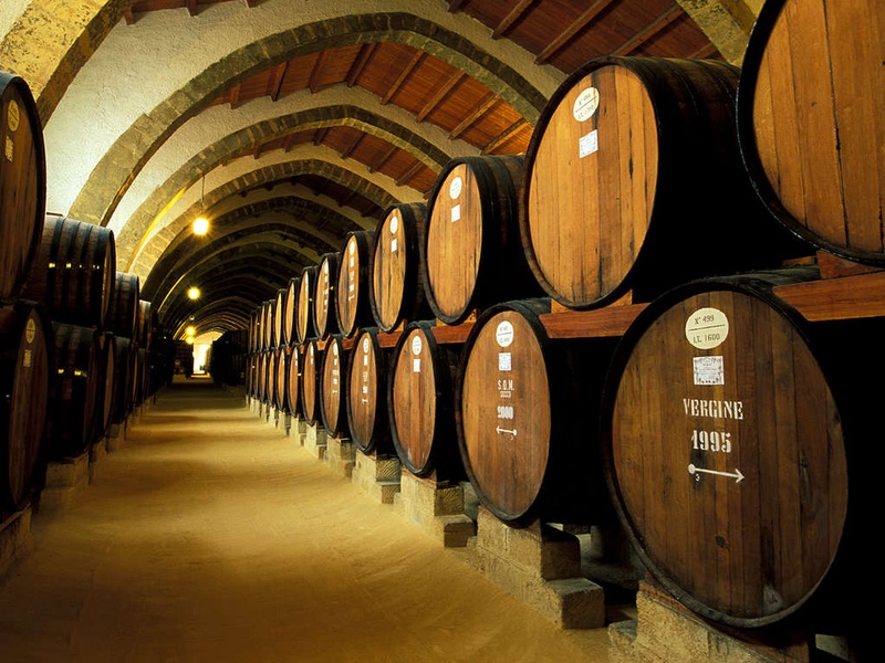 Ontdek wijnen in Saumur - 3* - 1