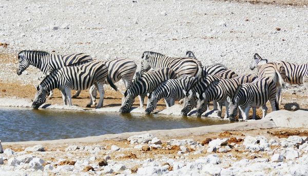 Merveilles de Namibie & Séjour Chobe & Chutes Victoria 18J/15N - 2026 - 1